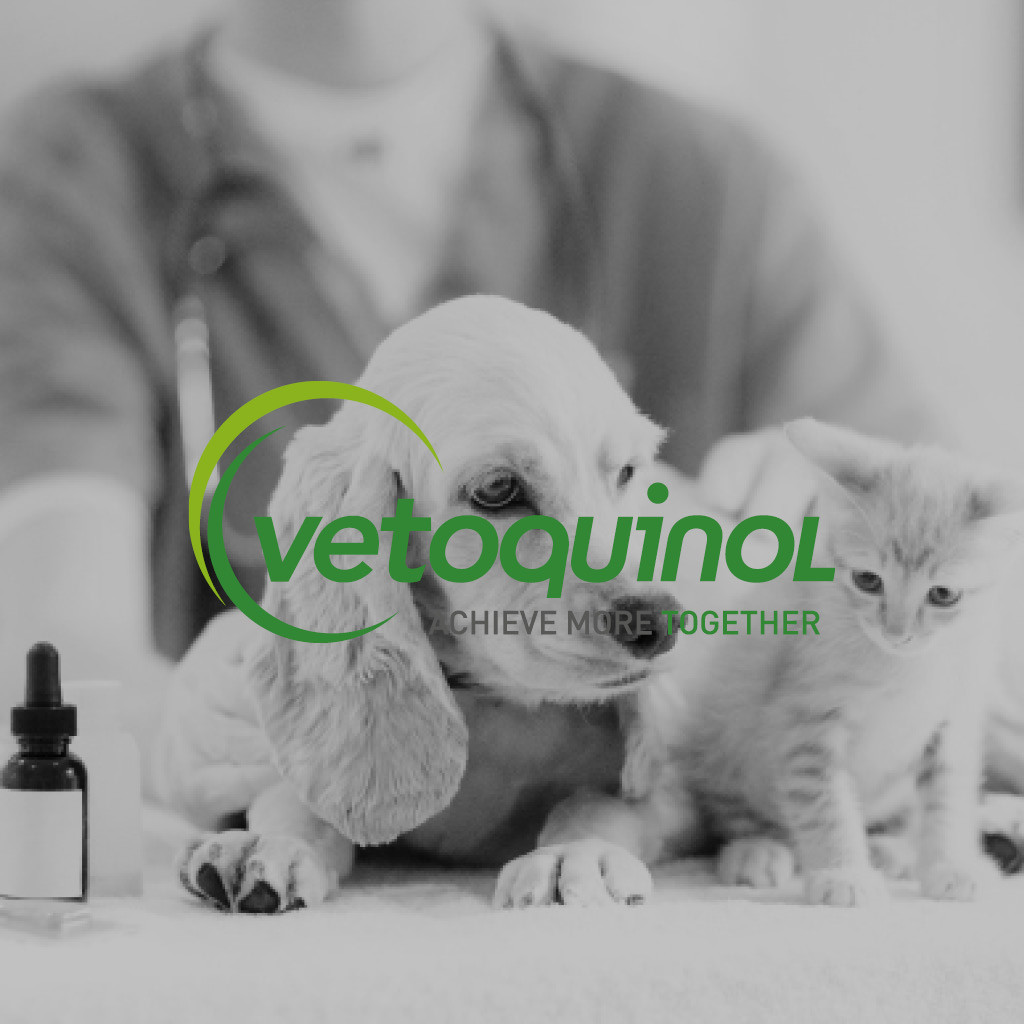 Vetoquinol