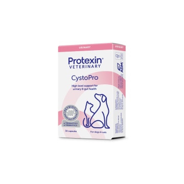 CystoPro 30 kapsler VET