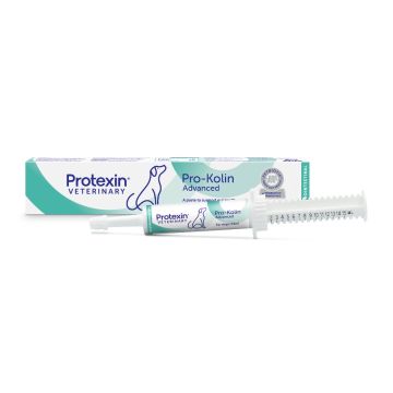 Pro-Kolin Advanced HUND 15 ml VET 