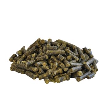 Foderprøve Salvana/Dengie 