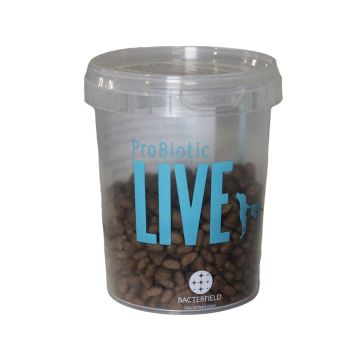 PRØVE - Live Kat Adult Lam 