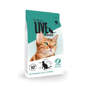 LIVE CAT Adult Lam 2 kg 