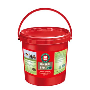 Salvana Mineral Brix 8 kg Spand