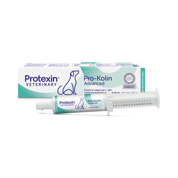 Pro-Kolin Advanced HUND 60 ml VET 