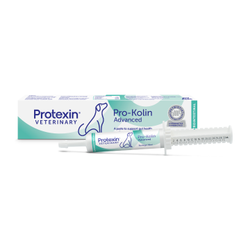 Pro-Kolin Advanced HUND 30 ml VET 