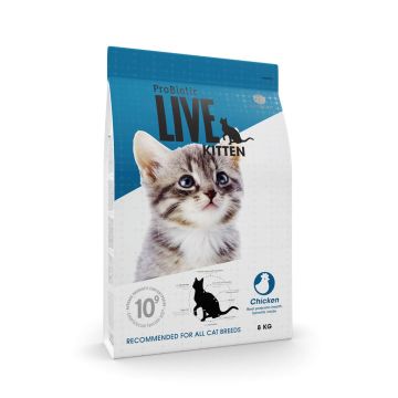 LIVE CAT Kitten 8 kg