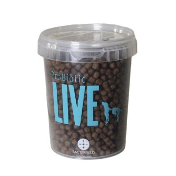 PRØVE - Live Hund Mini Breed Puppy