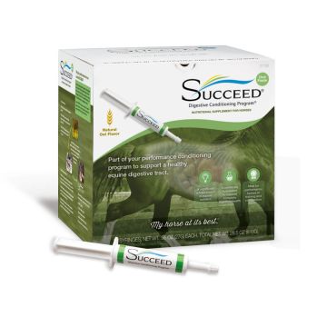 Succeed DC Paste 30 tuber/1kasse VET