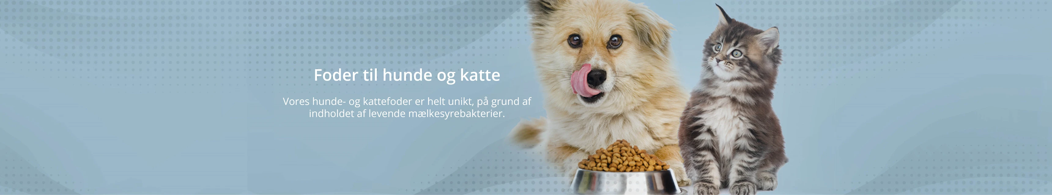 Hund_og_kat_5_